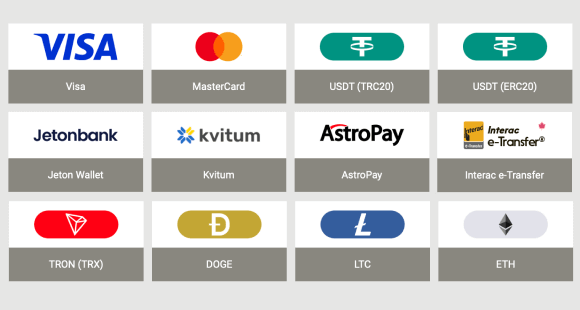 Megapari payment options